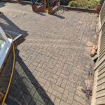 pxl 20250403 095540081.mp