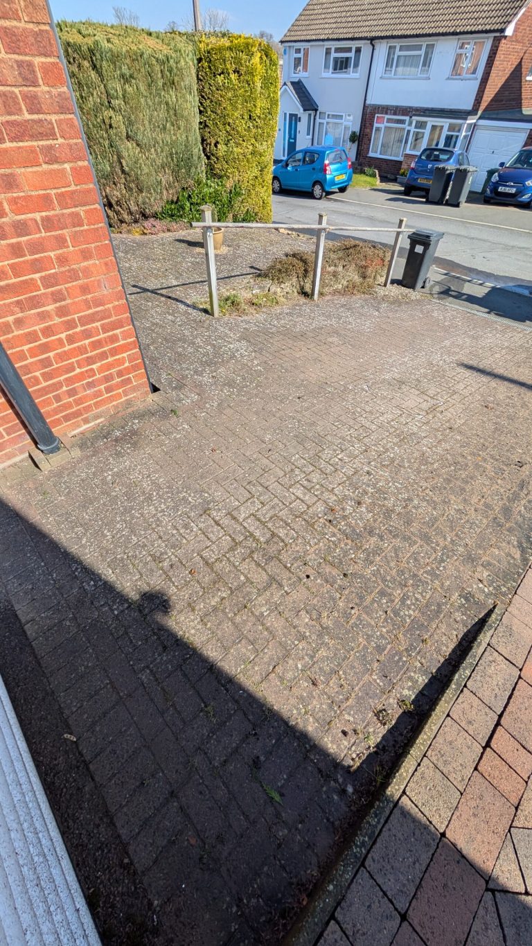 pxl 20250319 113126823.mp scaled.jpg