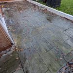 pxl 20251210 084638475.mp scaled.jpg